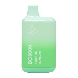 ELF BAR BC5000 Disposable Miami Mint 5.000 Sopros